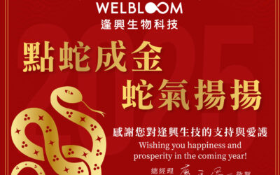 Holiday Notification – Chinese New Year 2025