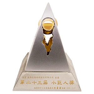 群組 31