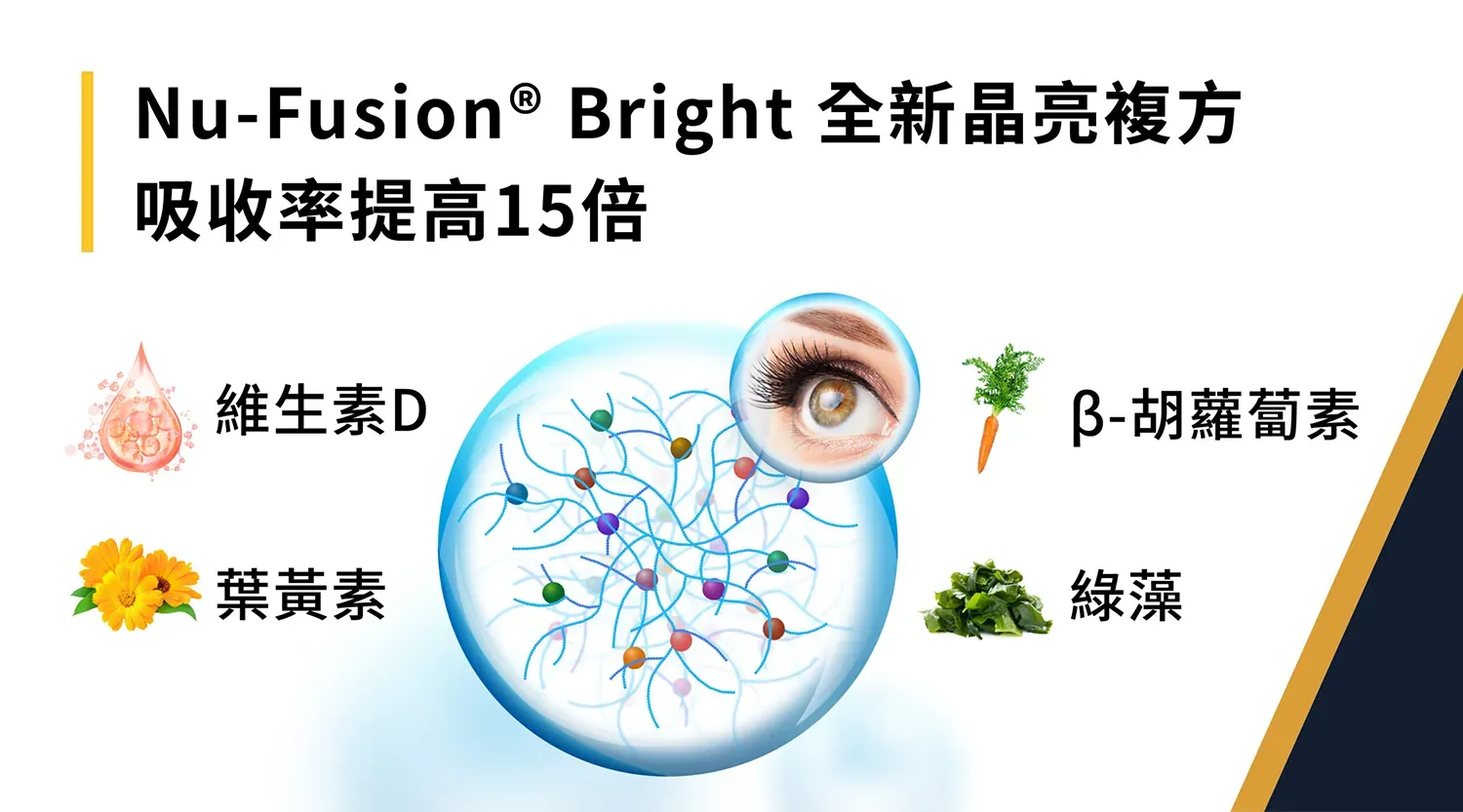 20230203 逢興官網nufusion頁面圖表 1 2 Scaled 1