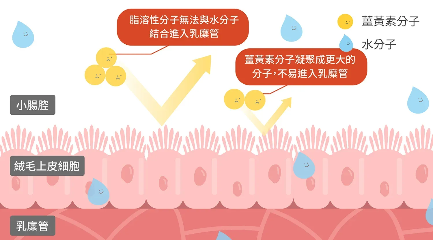 技術延伸 05 2 Scaled 1