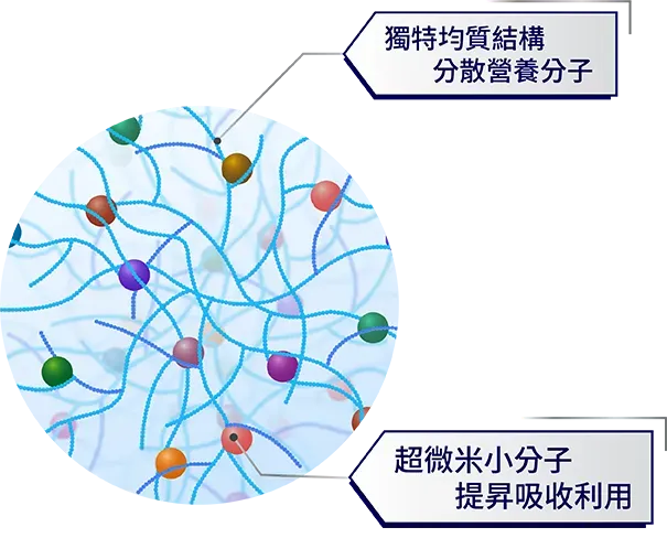 共營介紹 03