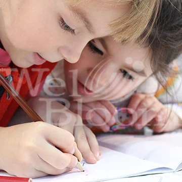 A5