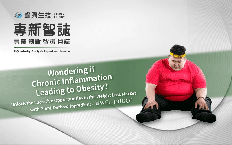 Vol.0065 Wel Trigo肥胖 英 封面 底 封面