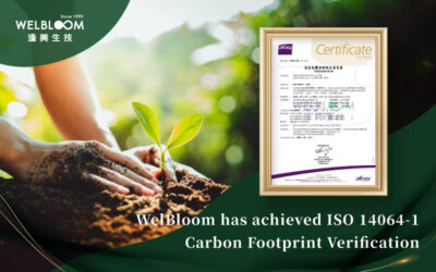 ISO 14064-1 Certification—Step Toward Global Sustainability