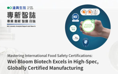 International Food Safety Certifications: High-Spec Global Manufacturing