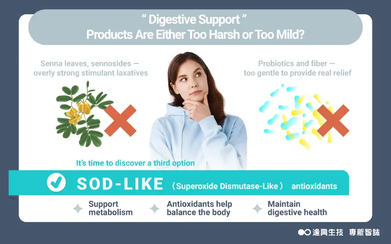 Vol.0086 棗點見 英 內文圖 02