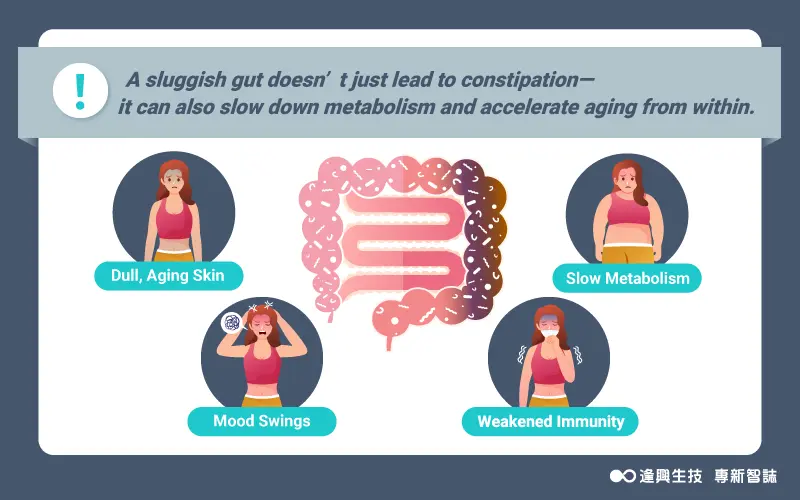 Vol.0086 棗點見 英 內文圖 01