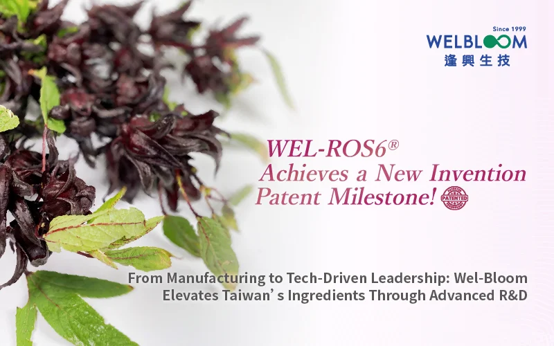 洛神專利 英 封面 800x500