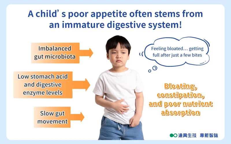 Vol.0088 好兒悠 英 內文圖 市場 02